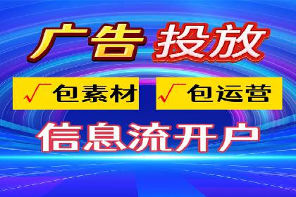 SEM运营策略案例分析